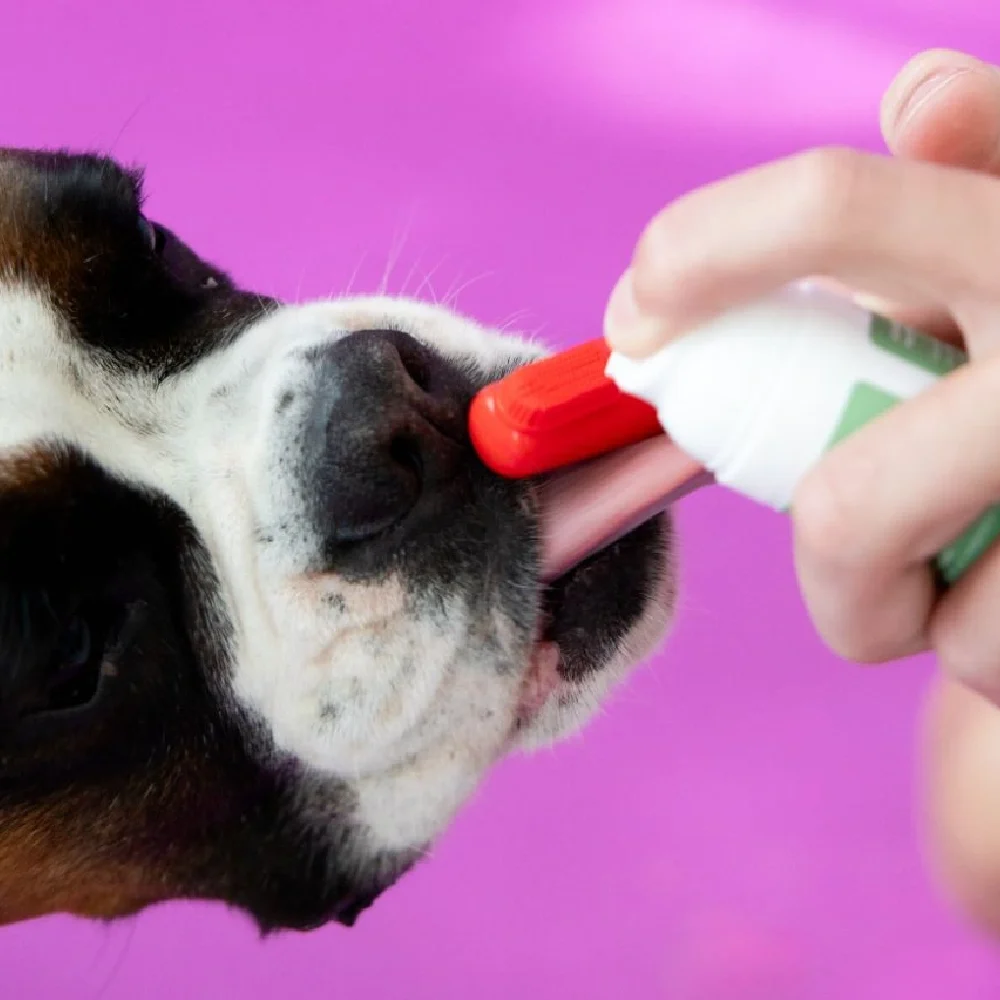 The BOO Care Dental, gel (50 ml)